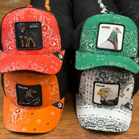 Load image into Gallery viewer, GOORIN BROS - JUST US - El Toro Boots
