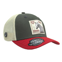 Load image into Gallery viewer, RANCH &amp; CORRAL - EQUUS
