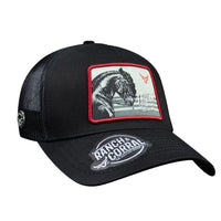 Load image into Gallery viewer, RANCH &amp; CORRAL - EQUUS
