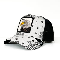 Load image into Gallery viewer, GOORIN BROS - PROBLEM
