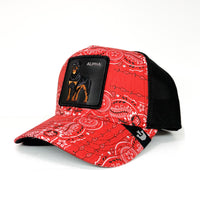 Load image into Gallery viewer, GOORIN BROS - WITHOUT WARNING
