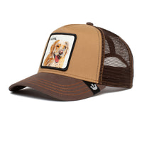 Load image into Gallery viewer, GOORIN BROS - THE LOYAL DOG - El Toro Boots
