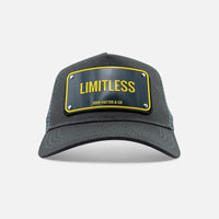 Load image into Gallery viewer, JOHN HATTER - LIMITLESS
