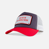 Load image into Gallery viewer, JOHN HATTER - YOU'RE IN MY WORLD NOW
