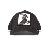 Load image into Gallery viewer, GOORIN BROS - THE STALLION
