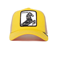 Load image into Gallery viewer, GOORIN BROS - THE STALLION - El Toro Boots
